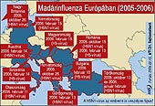 forrás: MTI