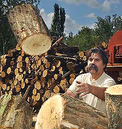 Forrás: MTI
