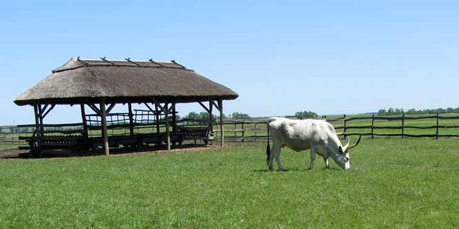 A Hortobágy is csak egy ugrásra van