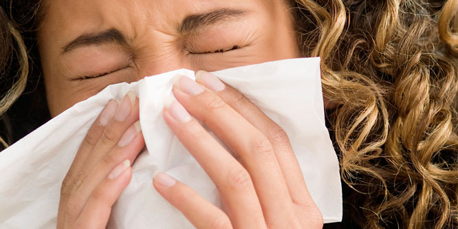 Az allergia és a hirtelen szívhalál a Debreceni Egyetem célkeresztjében