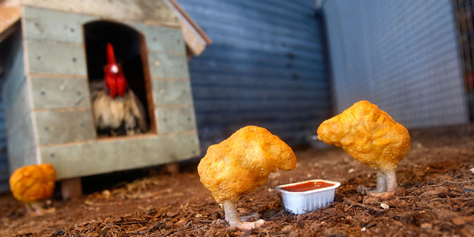 Mikroszkóppal a McNugget mélyén