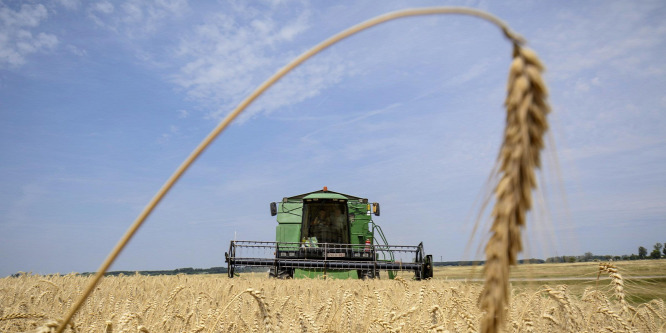 Tovább javultak a magyar agrárium szereplinek kilátásai