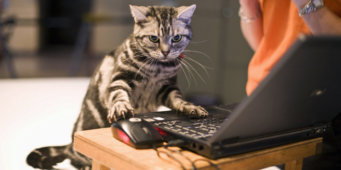 Ezért nem válaszolunk a chaten