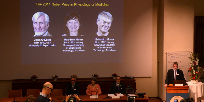 Agykutatásért kapta három tudós az idei orvosi Nobel-díjat