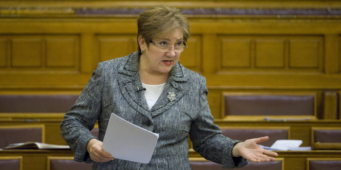 Meglepő javaslattal állt elő Gyurcsány volt minisztere