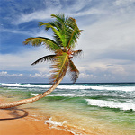 Forrás: Dreamstime