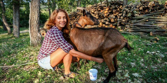 Dolgos ujjai vannak Horváth Évának - Megfejt egy kecskét