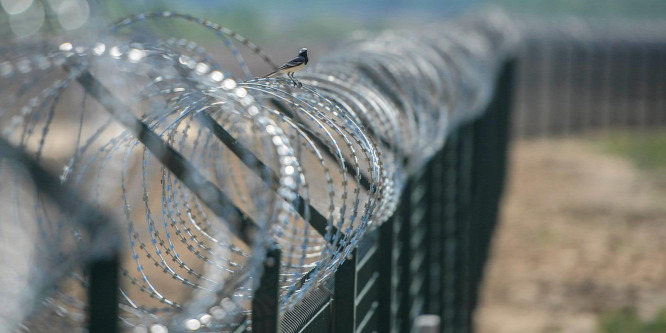 Ukrajna lett a migránsok új célpontja
