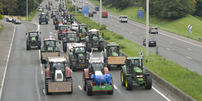 Ennyi pénzt még soha nem kaptak a tejtermelők