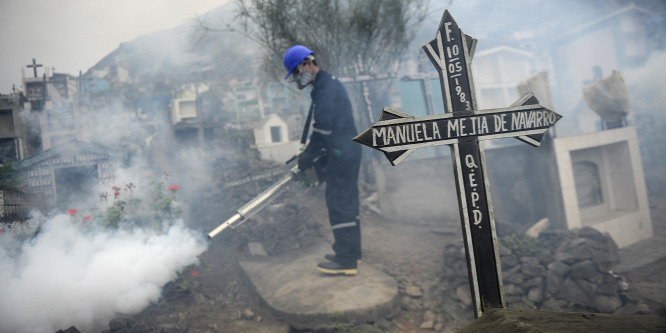 A Zika-vírus végigsöpörhet az amerikai kontinensen