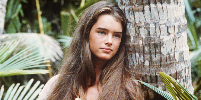 Telik az a fránya id: 51 éves lett a világ legelbvölbb tinédzsere, Brooke Shields