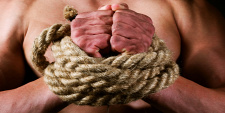 Forrás: Dreamstime