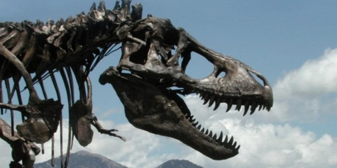Most felmérheti, mennyire ismeri a dinoszauruszok világát