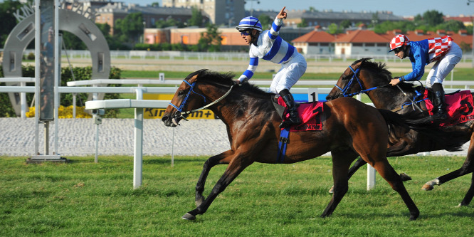 Akaba történelmet írt és vezeti a Nemzeti Galopp Ligát