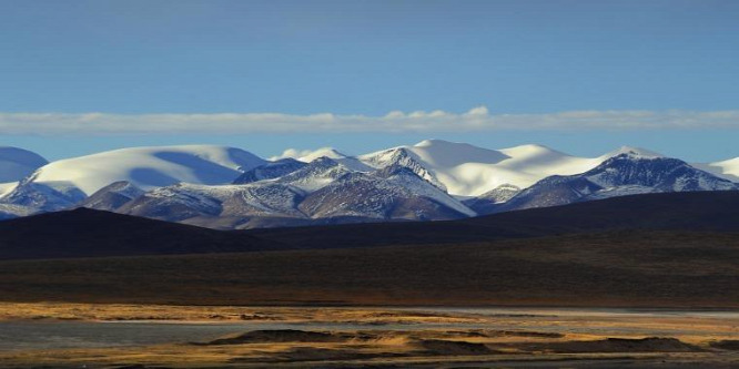 Esőerdő terült el a mai Tibet területén 40 millió éve