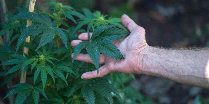 Több tonna kannabiszt foglaltak le a francia partoknál
