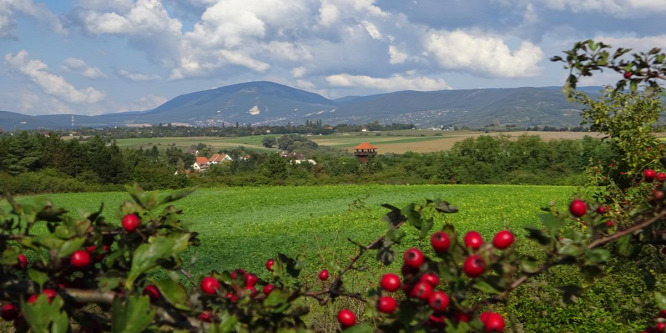 A lényeg, hogy ne menjünk le a térképről