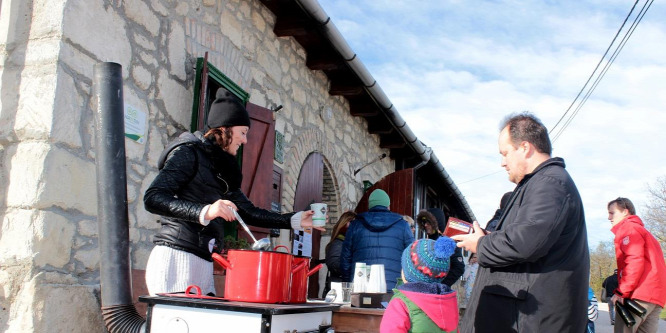 Mi fán terem a murci és az almacsinta?