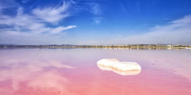 A különleges rózsaszín tó nem csak a turistákat vonzza Spanyolországba