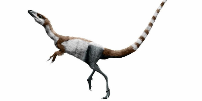 Mosómedve álarcot viselt a kréta kori dinoszaurusz