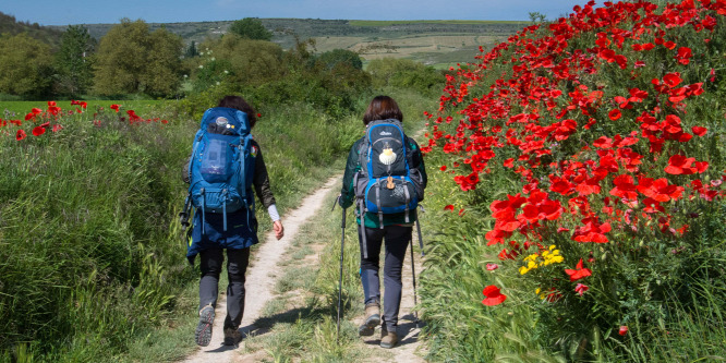 Megtévesztik az El Caminón gyalogló zarándokokat