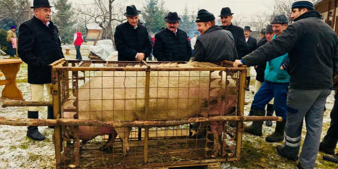 Miért eszünk malacpecsenyét újévkor?