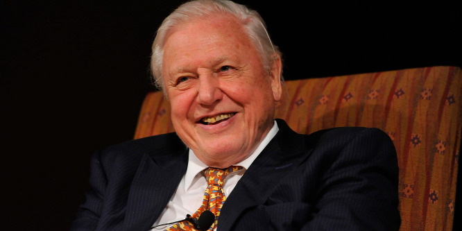 David Attenborough 93 évesen új sorozatot készít