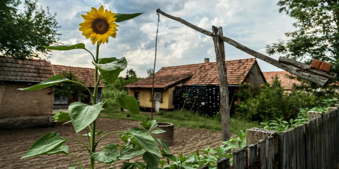 Végiggyalogoltunk a nagy magyar Alföldön