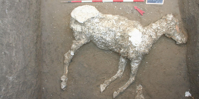 Egy versenyló lenyomatára bukkantak Pompeji közelében
