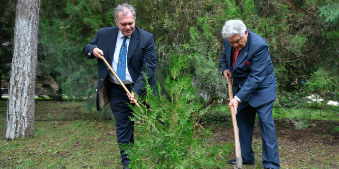 Kettős jubileum a szívsebészeten