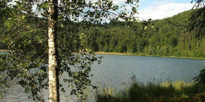 Először írtak le új baktériumfajt a Szent Anna-tóból
