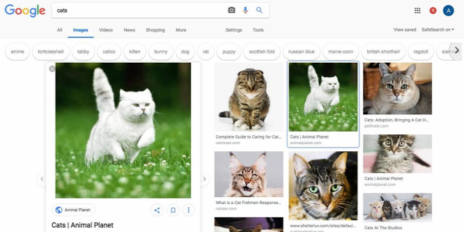 Megújulhat a Google képkereső felülete