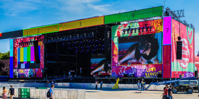 Egy kutya lett a Sziget Fesztivál sztárja