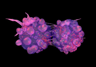 Forrás: Science Photo Library/SCIENCE ARTWORK/SCIENCE PHOTO LIBRARY/Science Artwork/Science Photo Li