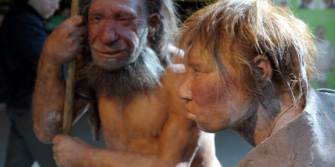 Elssorban hússal táplálkozott a neandervölgyi ember