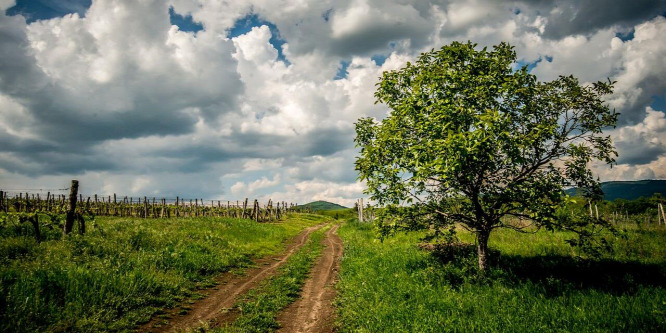 Túrazsák a háton, borospohár a kézben