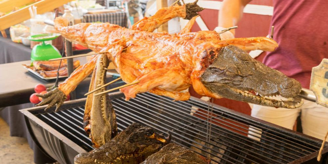 Krokodil grillezve: izomépítők és diétázók kincse