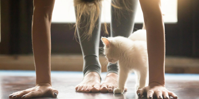 SZÍVDERÍTŐ A jóga és a meditáció módosíthatja a géneket