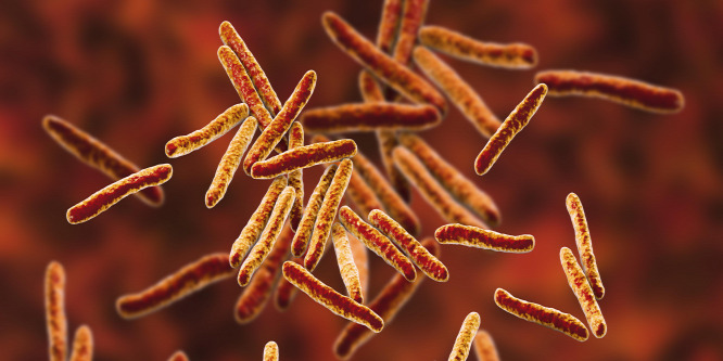 Antibiotikum nélkül gyógyították a tbc-t