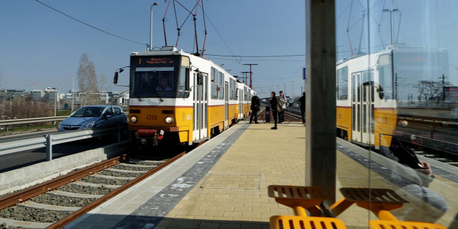 Napokig nem tért magához a sokktól a tűvel megszúrt nő