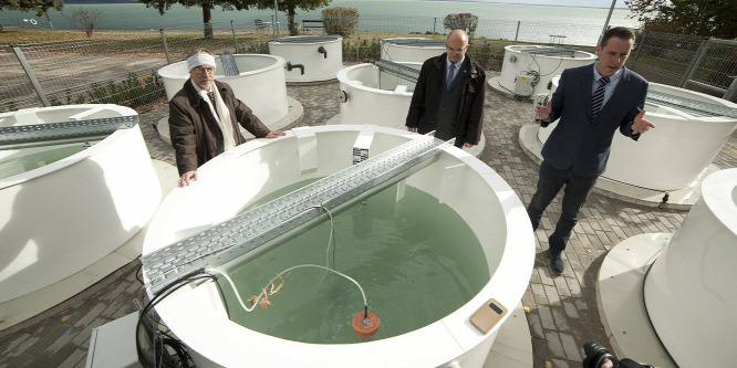 Tizenkét különös tartály mentheti meg a Balaton élővilágát