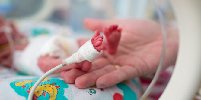 Lila fénnyel világítják ki vasárnap a Lánchidat a koraszülöttekért