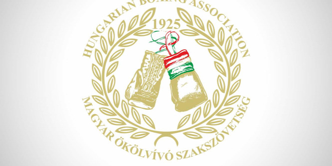 Megbízott pénzügyi biztos az ökölvívó-szövetségnél