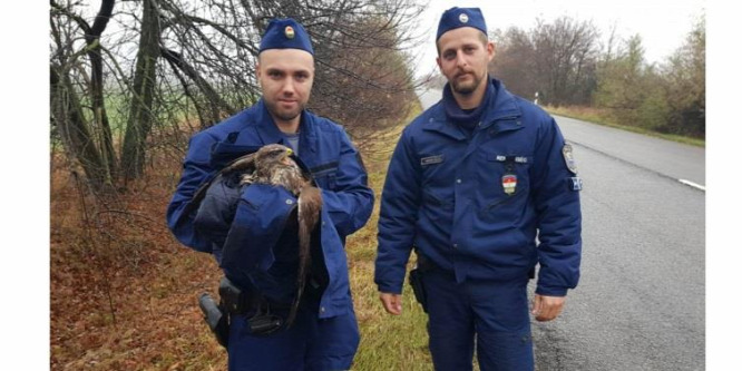 Ismét bajba jutott állaton segítettek a rendőrök