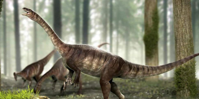 Megtalálták a gigászi dinoszauruszok korai ősét