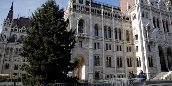 Felállították az ország karácsonyfáját a Kossuth téren