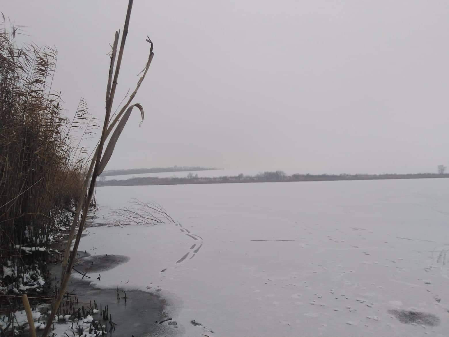 Szadizott Porr Filmer - Szadizott Sex Szadizott Porr Filmer - Szadizott Sex