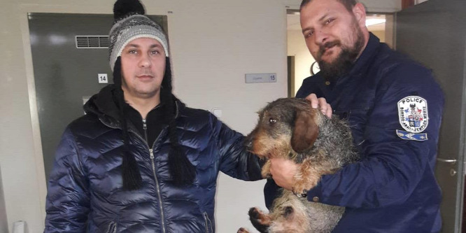 A jeges Tiszából mentettek ki egy tacskót a tokaji rendőrök
