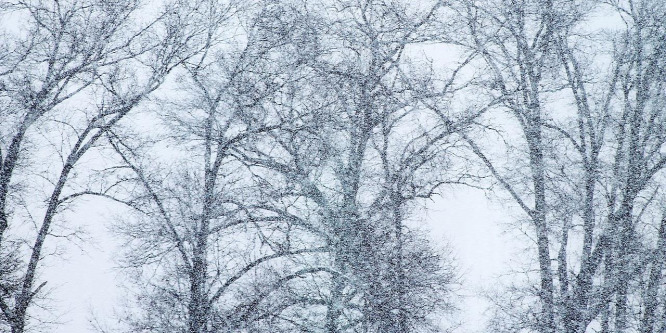 Ausztriában a hadsereg menti ki a hó fogságában rekedt embereket