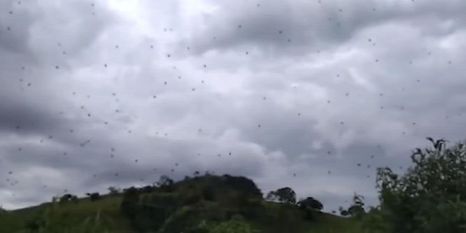 Pókeső borzolja a kedélyeket Brazíliában - videó